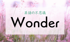 Wonder